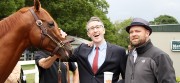 gallery.horse.mclovin